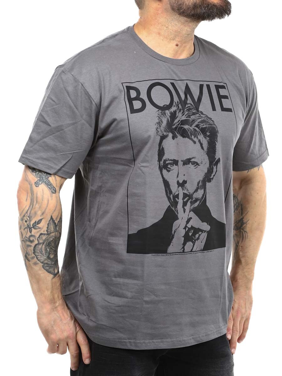Bowie T-shirt grey_2.JPG
