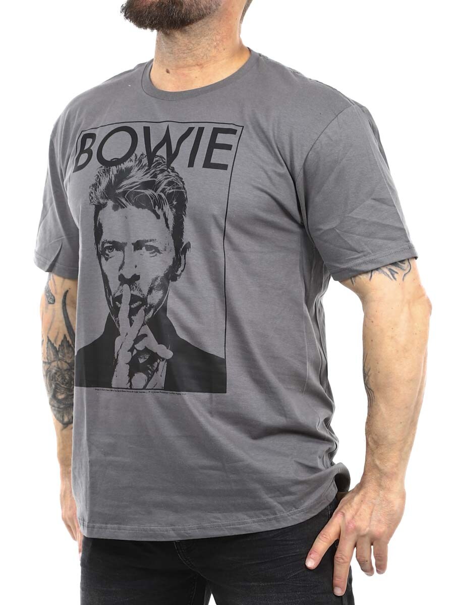 Bowie T-shirt grey_3.JPG