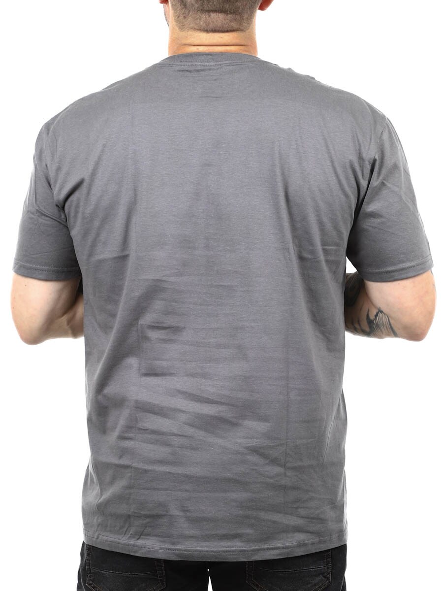 Bowie T-shirt grey_5.JPG