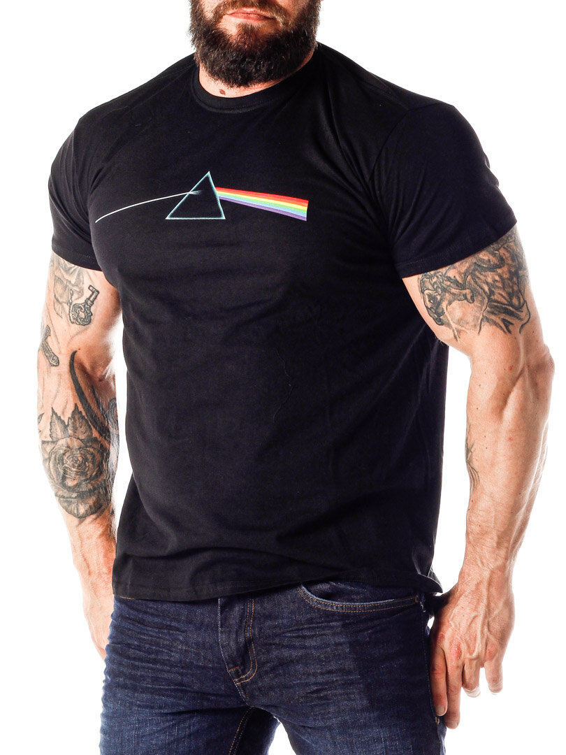 Pink Floyd Dark Side Of The Moon T-shirt - Svart
