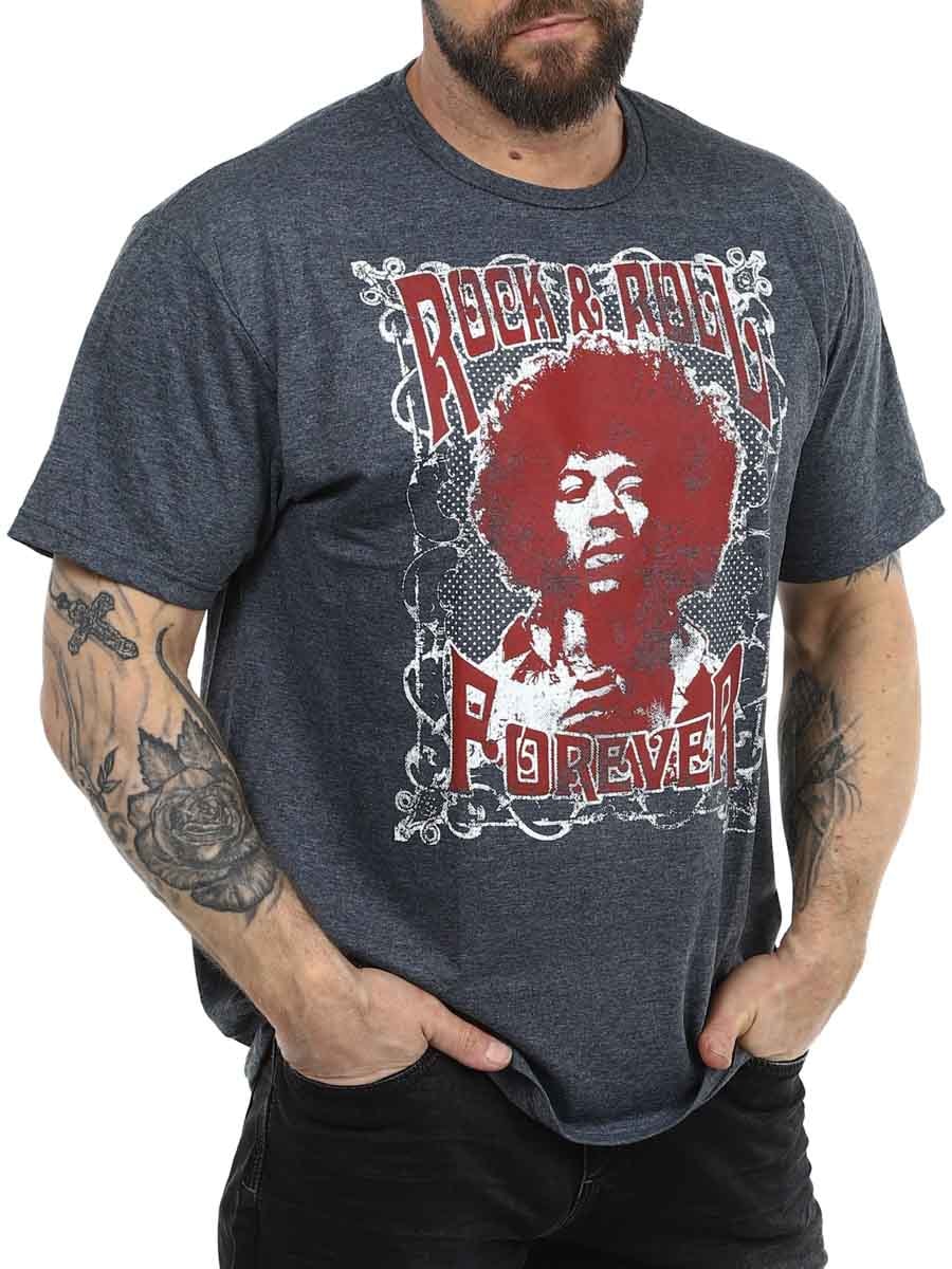 Jimi Hendrix RockNRoll Forever _2.JPG