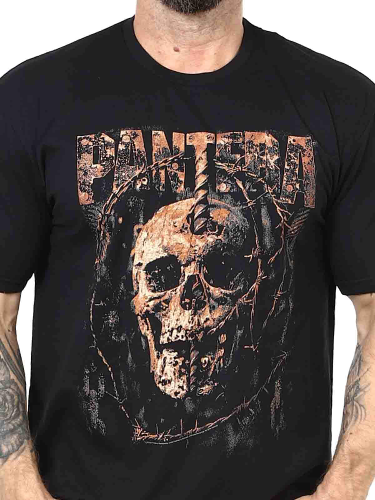 Pantera Stronger then wall_1.jpg