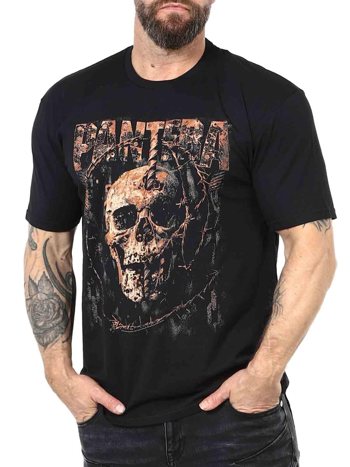 Pantera Stronger then wall_3.jpg