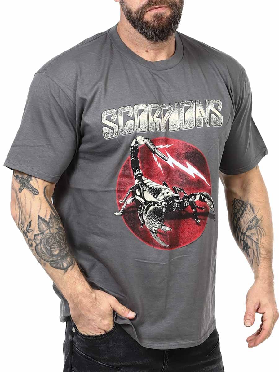 Scorpions Sting T-shirt Grey_3.JPG