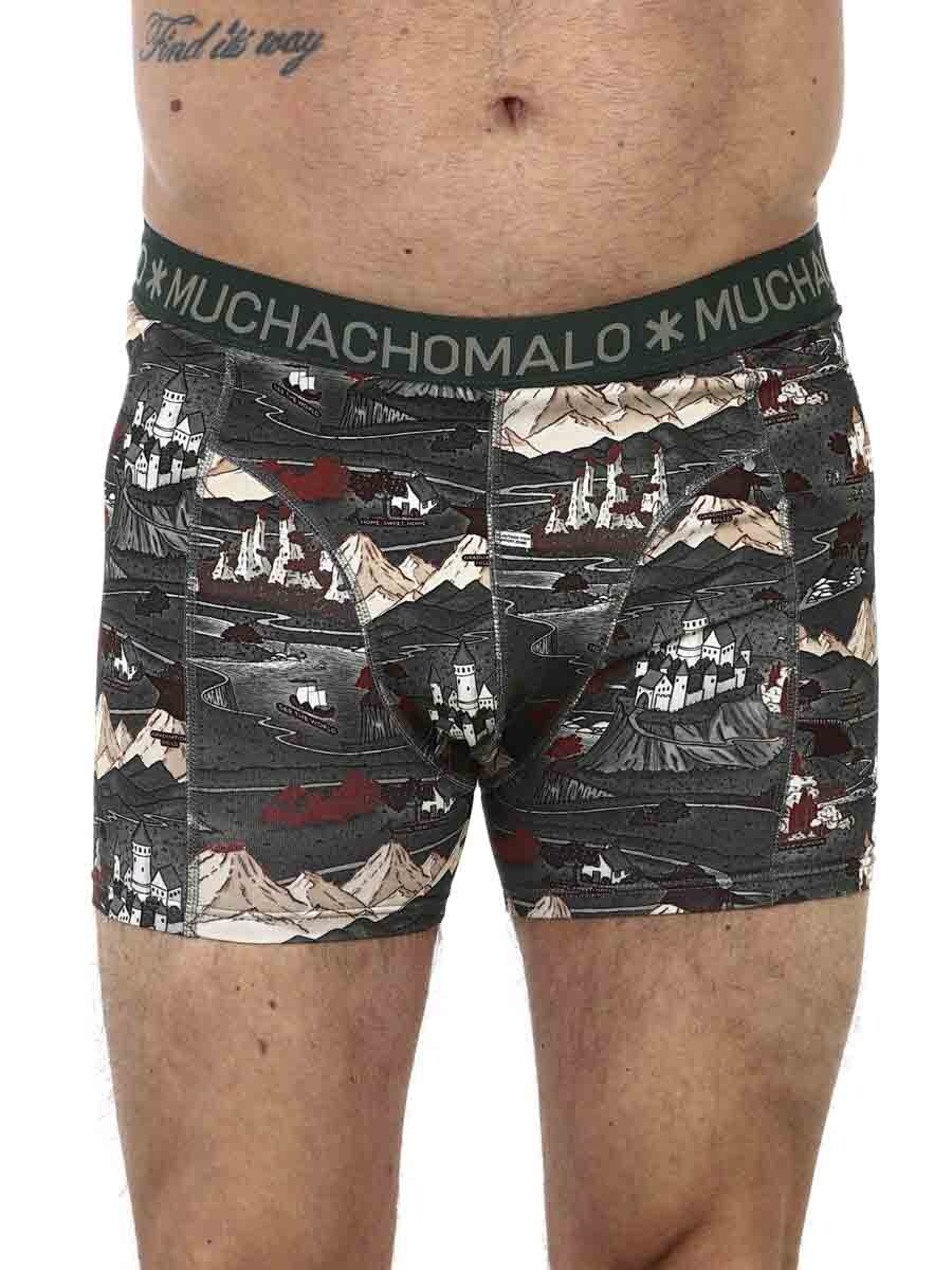 bOXERS mUCHOMACHO_1.JPG
