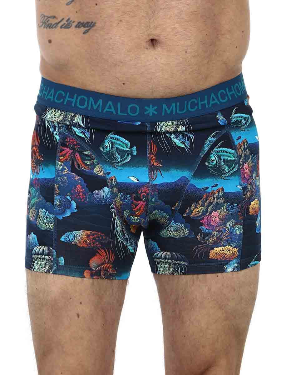 bOXERS mUCHOMACHO_16.JPG