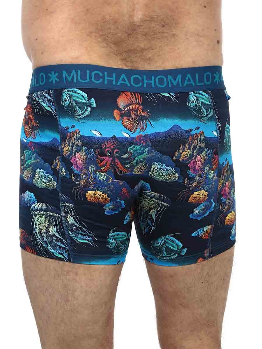 bOXERS mUCHOMACHO_17.JPG