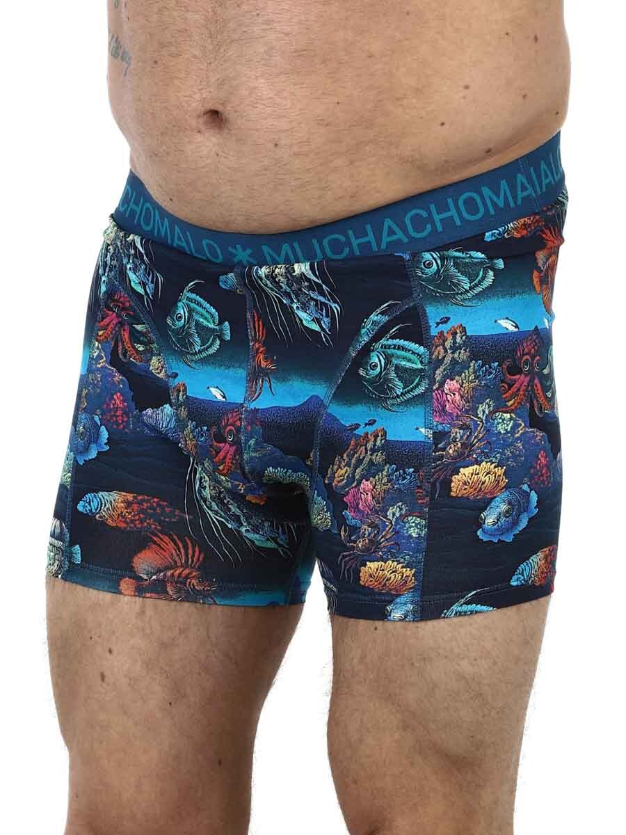 bOXERS mUCHOMACHO_18.JPG
