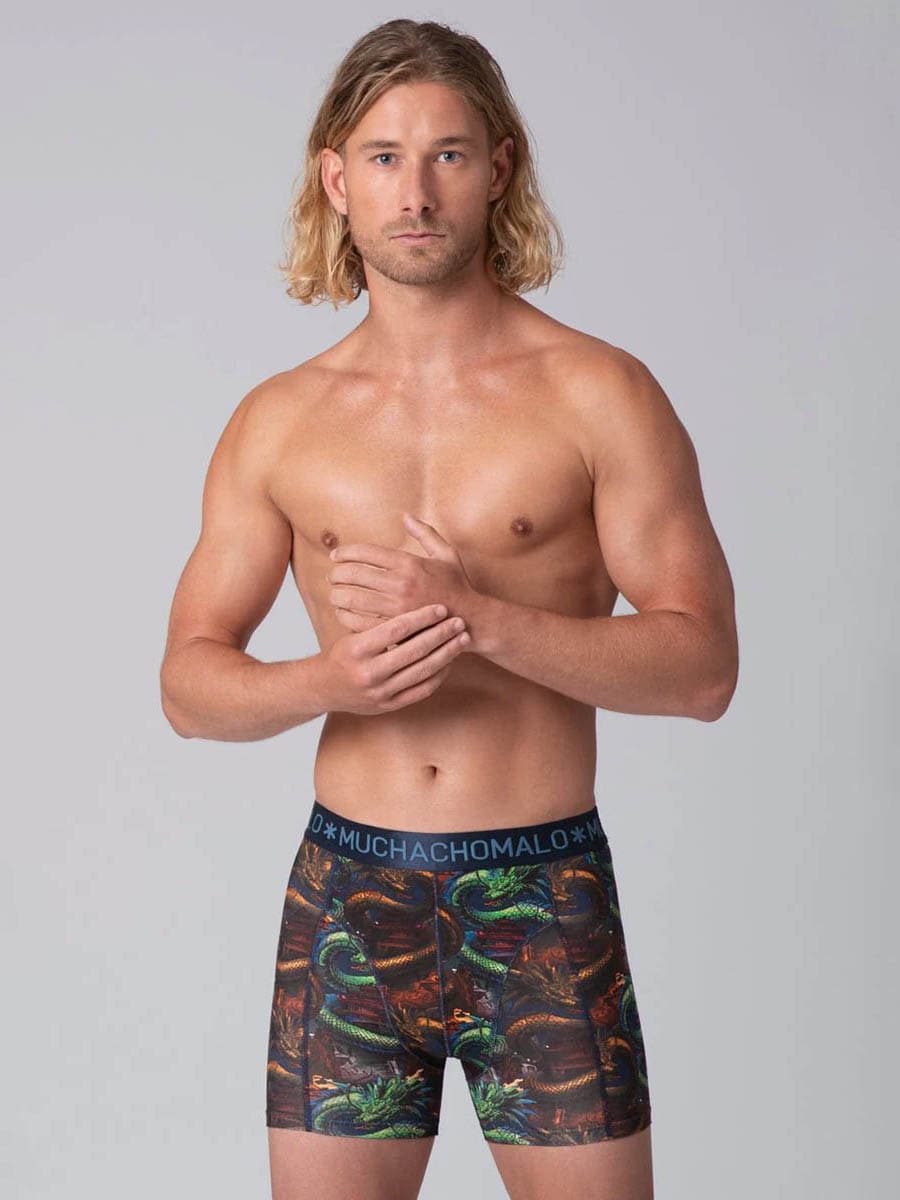 heren-2-pack-boxershorts-cotton-modal-dragon1010-01-6152994.jpg