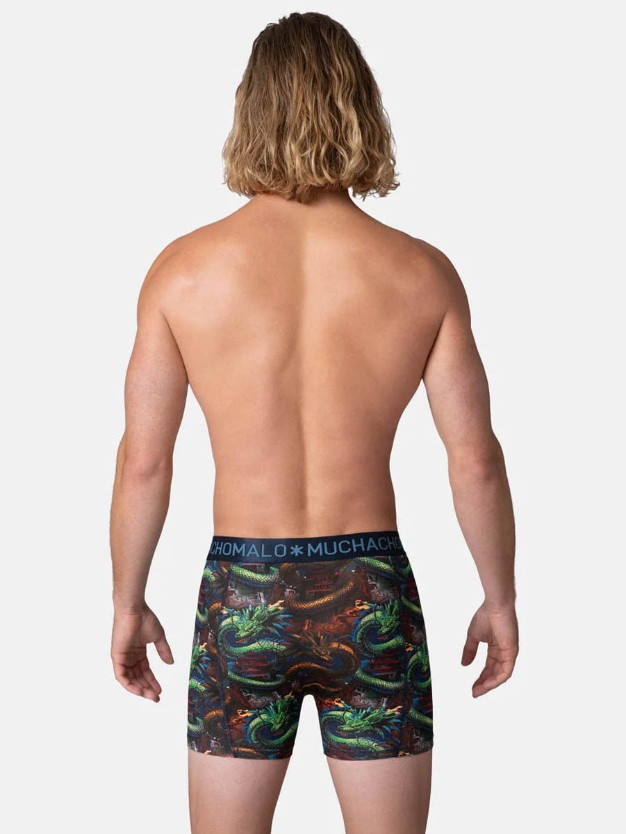 heren-2-pack-boxershorts-cotton-modal-dragon1010-01-7937933.jpg